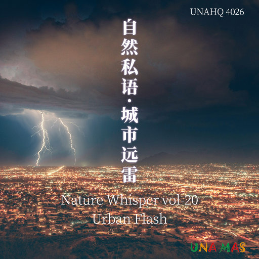 欧美成人午夜免费A片
